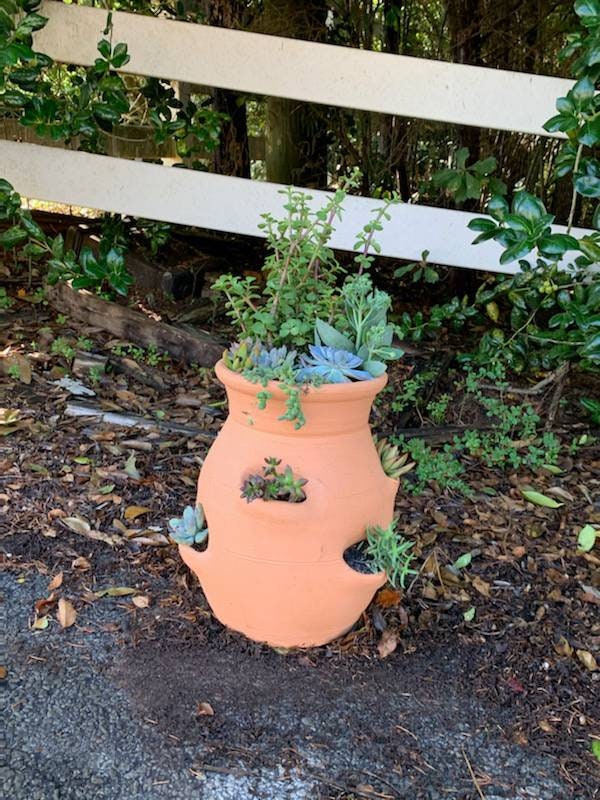 Handmade Clay Craven Pottery Red Clay LP6 Large 6 Pocket Planter Tetta Cotta Strawberry Jar