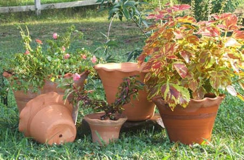 May include: Several terracotta flower pots of various sizes, some containing plants with green and colorful foliage. One pot is overturned. The pots are on a bed of green grass, with a white fence in the background.