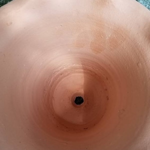 May include: A terracotta-colored, unglazed ceramic flower pot. The pot has a wide, ruffled rim and tapers down to a small drainage hole. The interior shows concentric rings from the pot's construction.