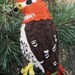 see more listings in the Bird ornaments section