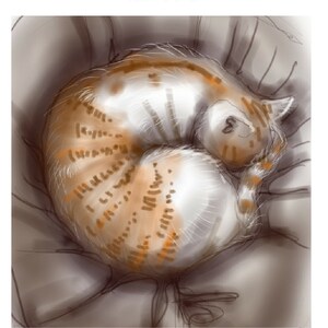 scheda del gatto dorme: 'Il gatto-ball' - carta di arte, auguri, biglietto di ringraziamento, compleanno, San Valentino. vuoto all'interno