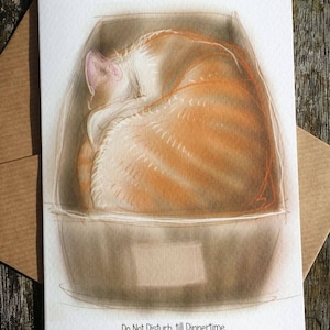 tarjeta de saludos: 'Do no molestar hasta la hora de la cena -' gato grande blanco y jengibre en una pequeña caja de cartón, tarjeta, interior en blanco
