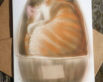 greetings card: 'Do Not Disturb till Dinnertime' - large ginger and white cat in a small cardboard box, art card, blank inside