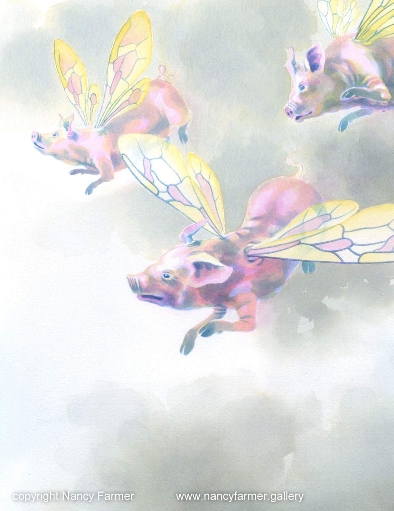 Flying Pigs! -