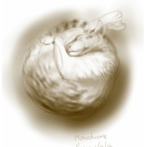 Cat gift card: 'Monochrome Percy' - for arty cat-lovers. Art card, blank inside from a drawing of a sleeping cat. Thank you or sympathy card