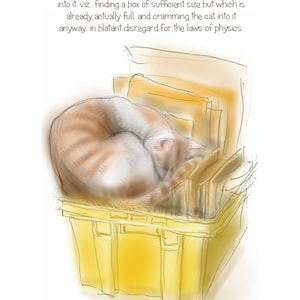 Grappige kat wenskaart / verjaardagskaart: ' het gele vak ''-Cat logic, kat in een doos, tekening door Nancy landbouwer.