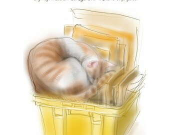 Funny cat greetings card / birthday card: 'The Yellow Box'' - Cat logic, cat in a box, drawing by Nancy Farmer.