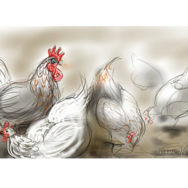 Carte de voeux de l’art des poulets - « poulets » - picorer. Scène de ferme, oiseaux, dessin par Nancy Farmer, vide à l’intérieur