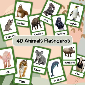 Printable Animal Flashcards for Kids, 40 Realistic Animals Flashcards, Educational Kids Learning Cards, Preschool, Montessori Homeschool PDF