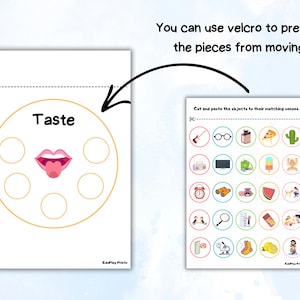 Puede incluir: Una hoja de trabajo imprimible para que los niños aprendan sobre los cinco sentidos. La hoja de trabajo presenta una lengua con la palabra "Gusto" encima. Hay seis círculos alrededor de la lengua para que los niños peguen imágenes de alimentos.