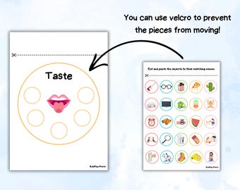 Peut inclure: Une feuille de travail imprimable pour les enfants pour apprendre les cinq sens. La feuille de travail présente une langue avec le mot "Goût" au-dessus. Il y a six cercles autour de la langue pour que les enfants puissent coller des images d'aliments.