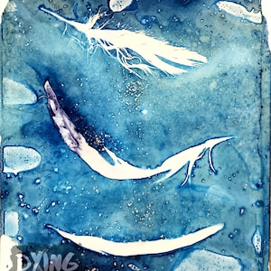 Wet Cyanotype/Anthotype. Feathers. Original monotype print. 9x12.