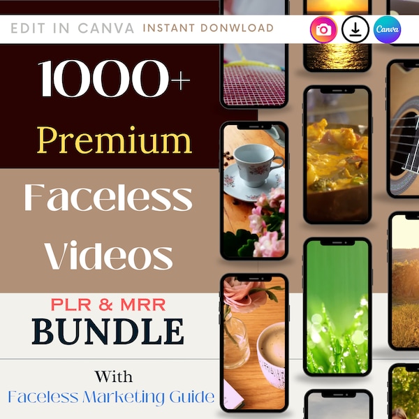 PLR Faceless Videos with Master Resell Rights, MRR PLR Digital Products Done For you to Sell On Etsy with Faceless Marketing Guide & Reels