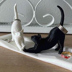White and Black Cat on a white plate.