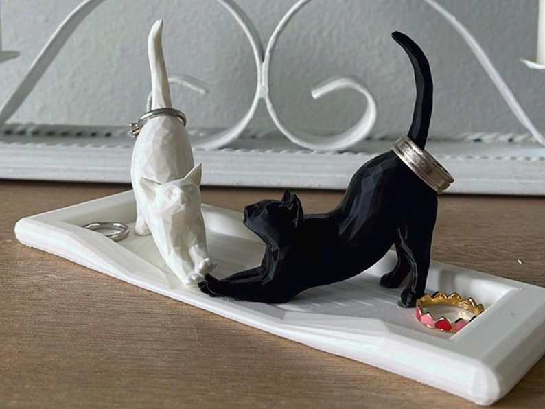 White and Black Cat on a white plate.