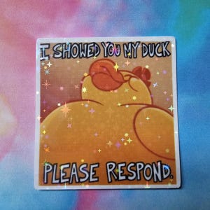 Pegatina de vinilo inspirada en &quot;Te mostré mi pato&quot; de Hazbin Hotel