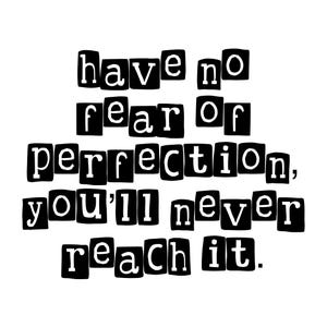May include: Black and white typography quote that reads "have no fear of perfection, you'll never reach it."