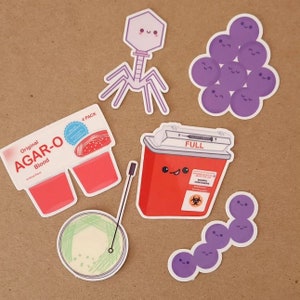 6 PACK-CUALQUIER pegatinas de su elección/ Microbiología/Pegatinas de laboratorio/ Regalos de microbiología
