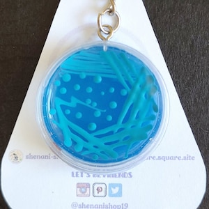 Proteus CLED Agar Petri dish Keychain/Badge Reel|MLT,MLS,Lab Tech Gifts|Laboratory, Microbiology Gift|Microbiology Art|Science Art