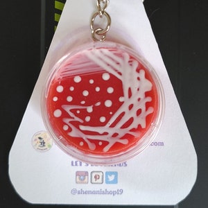 May include: A red and white petri dish keychain with a white swirl design and red dots. The keychain is attached to a silver chain and hangs from a white card with the text "Shenani Shop Microbiology Crafts" and social media icons.