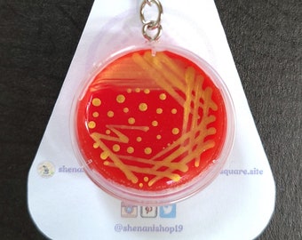 Portachiavi con piastra di Petri in agar sangue di Staphylococcus aureus - Tecnico di laboratorio di microbiologia, carino - Arte scientifica, regalo per la settimana del laboratorio