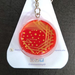 May include: A red and gold petri dish keychain with a microbiology theme. The keychain is shaped like a petri dish with a red agar base and gold bacterial colonies. The keychain is attached to a silver chain and a silver key ring. The keychain is labeled "Shenani Shop Microbiology Crafts".