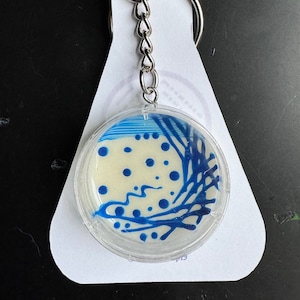 May include: A clear plastic keychain with a blue and white petri dish design. The keychain is attached to a silver chain and has a white card with the text "Shenani Shop Microbiology Crafts".