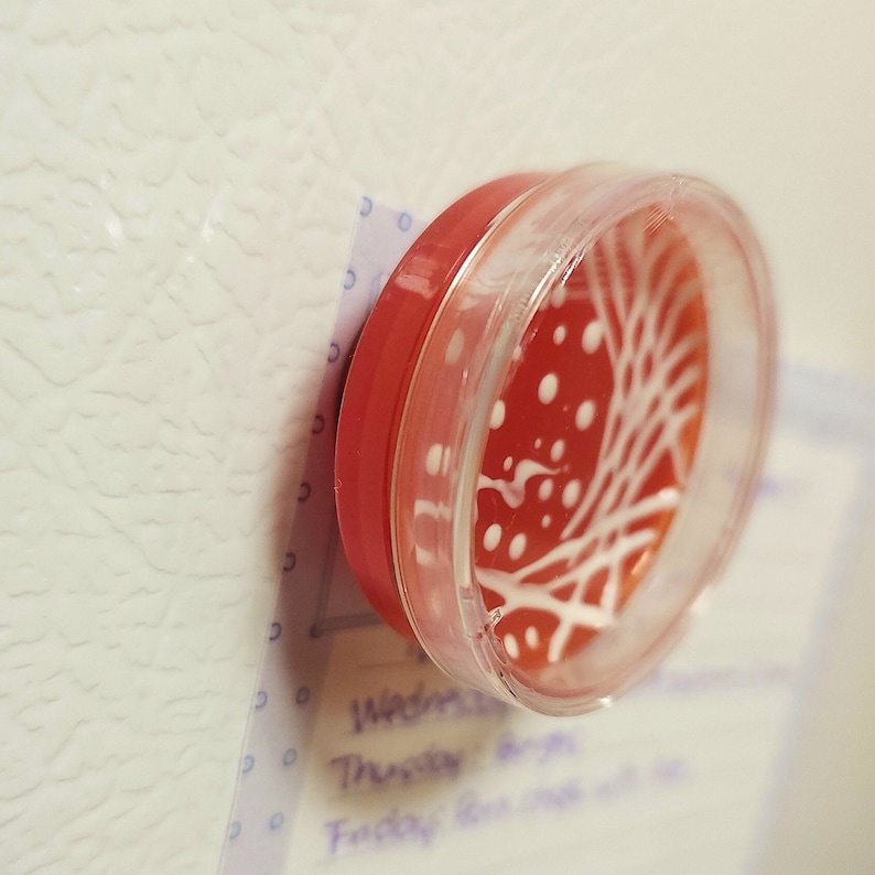 May include: A red and white round container with a clear lid. The container has a white design with red dots and white lines.