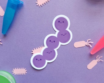 Streptococcus Sticker-Cute Handmade Microbiology Vinyl Sticker, Lab Science Gift
