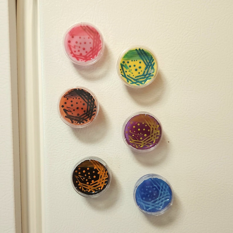 May include: Six small round clear plastic containers with colorful designs inside. The designs are abstract and include dots, lines, and swirls in pink, green, orange, purple, and blue.