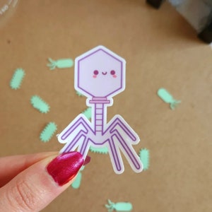 Pegatina de microbiología/Pegatina de virus kawaii/Pegatina de bacteriófago/Pegatina de tecnología de laboratorio MLT MLS/Pegatina de ciencias STEM/Regalos de microbiología de laboratorio