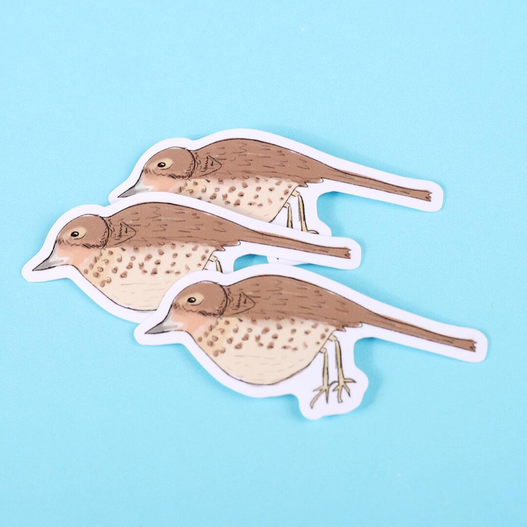 Thrush Bird Sticker Thrush Bird Sticker - Etsy