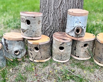 Aspen Log Bird Houses - kleinere versie