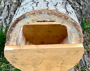 Aspen Log Vogelhuis