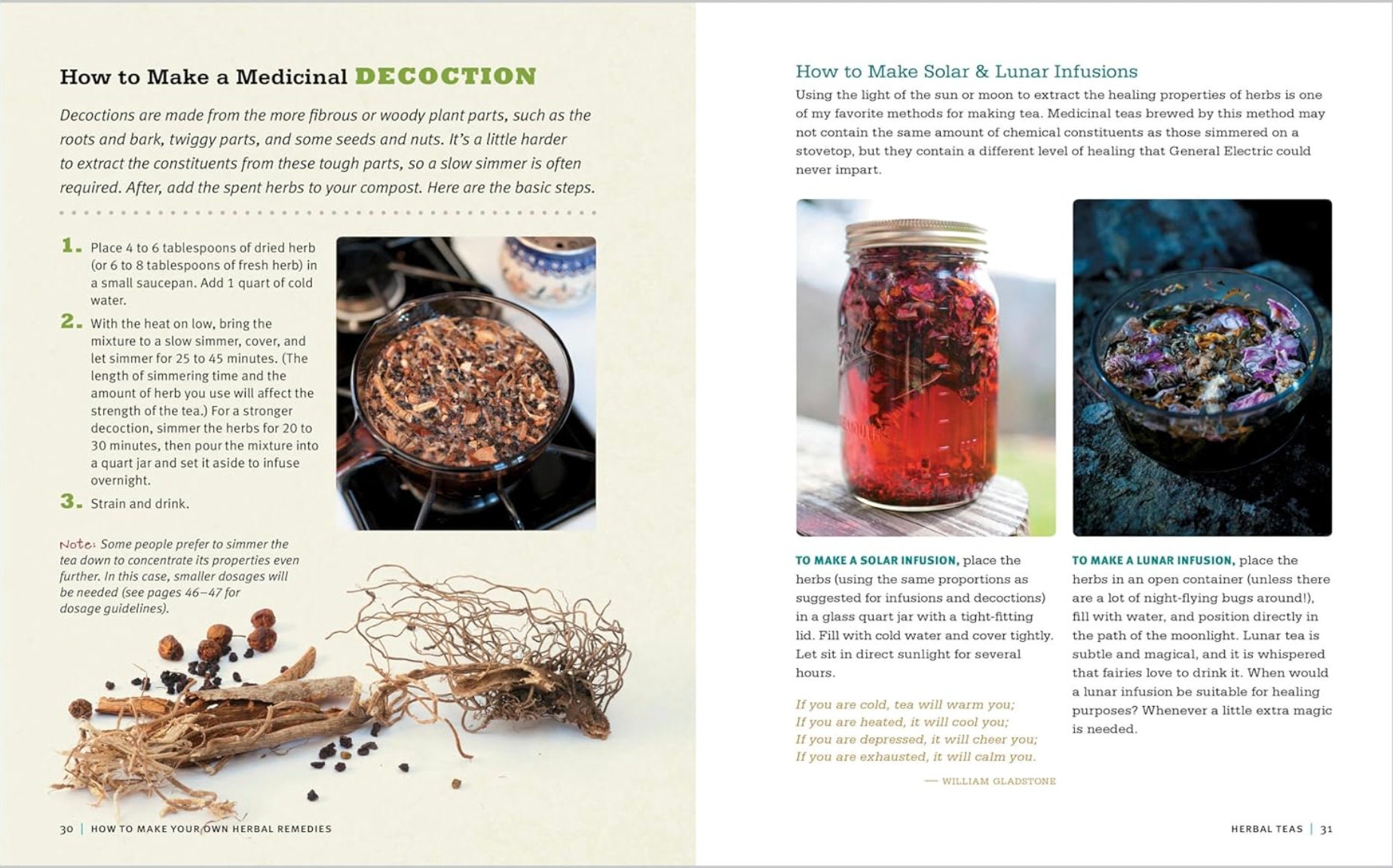 Rosemary Gladstar's Medicinal Herbs A Beginner's Guide 33 Healing Herbs