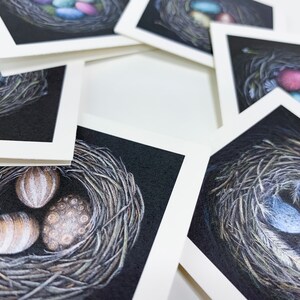 May include: A set of five cards featuring hand-drawn illustrations of bird nests with colorful eggs. Each card has a black background and a white border.