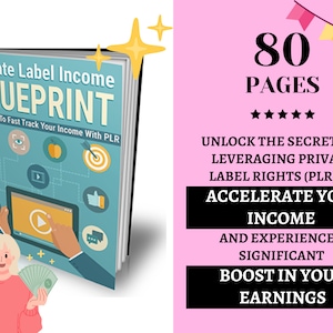 PLR Ebook, Private Label Income Blueprint, Financial Planning, Earning Money Online, Make Money Online, PLR Coaching Program