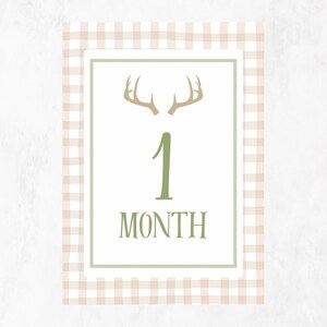 Cartes d'étape beiges avec cerf | Baby Shower | Photos de bébé | Chasse | 1-12 mois | Bébé garçon