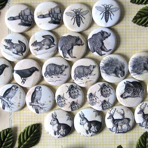 Forest Friends - Woodland Creatures -  1&quot; Round Buttons or magnets (set of 6) - Vintage Engravings - Gift Under 20 Dollars - Antique Look