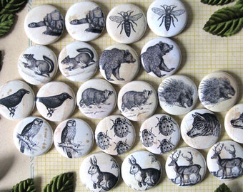 Forest Friends - Woodland Creatures -  1" Round Buttons or magnets (set of 6) - Vintage Engravings - Gift Under 20 Dollars - Antique Look