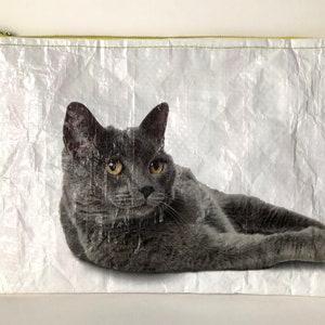 Bolsa con cierre, hecha a mano, forrada de tela, resistente, bolsa de arena para gatos reutilizada, gatito, bolso de mano, bolso de viaje, regalo para amantes de los gatos, ecológico, amante de los gatos