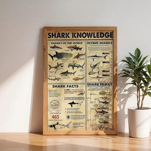 Sharks Of The World Knowledge Poster, Types of Sharks Knowledge Wall Art Home Decor Poster, Poster No Frame