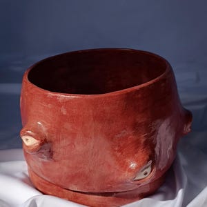 Puede incluir: Una maceta de cerámica de color marrón rojizo con un diseño único y expresivo. La maceta presenta dos protuberancias en forma de ojos y una amplia abertura. La maceta hecha a mano se asienta sobre una pequeña base circular.