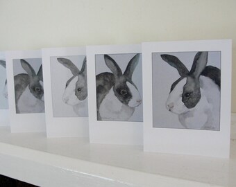 Dutch Rabbit Greeting Cards, Bunny Greeting Cards, Bunny Cards, Rabbit Cards, All Occasion Rabbit Card Set, Set of 6 cards with envelopes