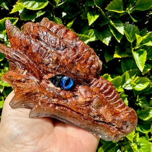 May include: A sculpted dragon head figurine featuring a deep reddish-brown textured surface with intricate scale details and a single, prominent, glossy blue eye with a vertical black pupil, crafted with a polished, semi-translucent finish.