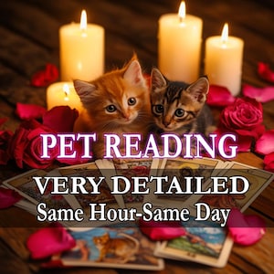Lectures d'animaux de compagnie, Lectures aux voyants d'animaux de compagnie, Mon animal de compagnie m'aime-t-il, Est-ce que mon animal de compagnie se sent bien, Lectures aux voyants, Lecture de tarots, Lecture télépathique À LA MÊME HEURE