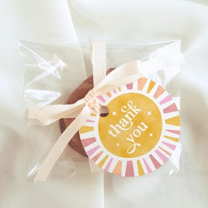 May include: A small, round, brown cookie with a yellow and pink thank you tag tied with a white ribbon. The tag has a sunburst design with the words "thank you" in white.
