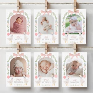 Puede incluir: Seis tarjetas imprimibles con bordes florales rosas y verdes, que muestran a un beb&eacute; en diferentes poses. Cada tarjeta tiene un ganso blanco con un globo rosa y el texto "Un mes", "Dos meses", "Tres meses", "Cuatro meses", "Cinco meses" y "Seis meses".