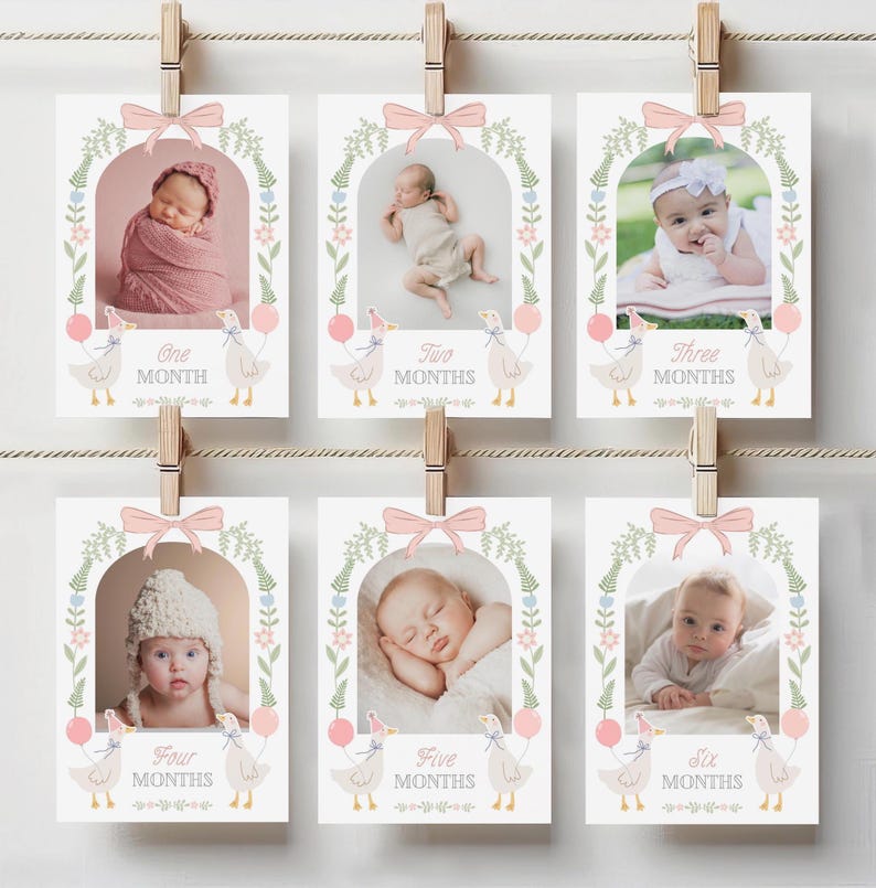 Puede incluir: Seis tarjetas imprimibles con bordes florales rosas y verdes, que muestran a un beb&eacute; en diferentes poses. Cada tarjeta tiene un ganso blanco con un globo rosa y el texto "Un mes", "Dos meses", "Tres meses", "Cuatro meses", "Cinco meses" y "Seis meses".