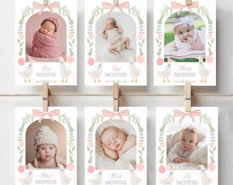 One Silly Goose 1st Birthday Milestone Banner | Floral Geese First Year Monthly Photo Banner | Pink Bow | Instant Download
